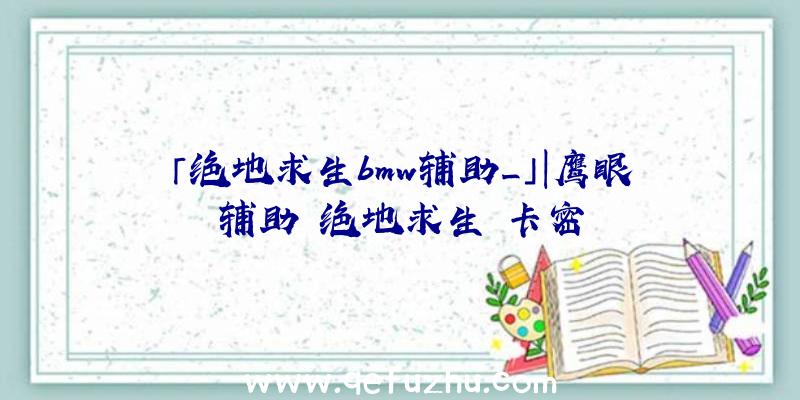 「绝地求生bmw辅助_」|鹰眼辅助